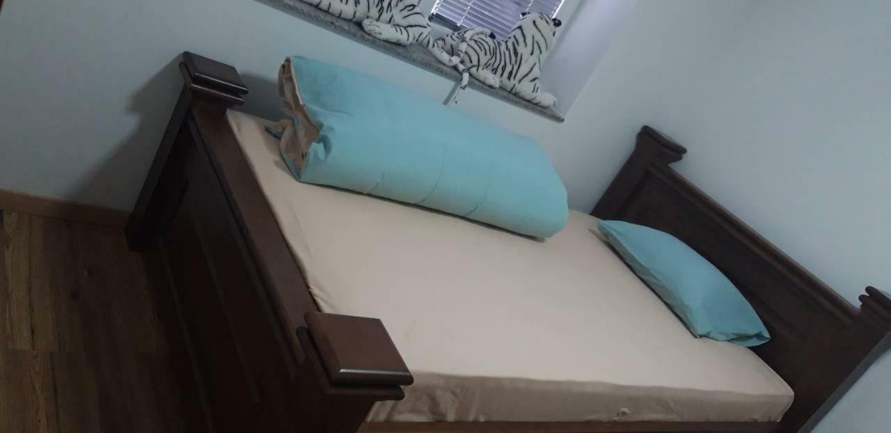 Ema Guest House พลาฟ ภายนอก รูปภาพ